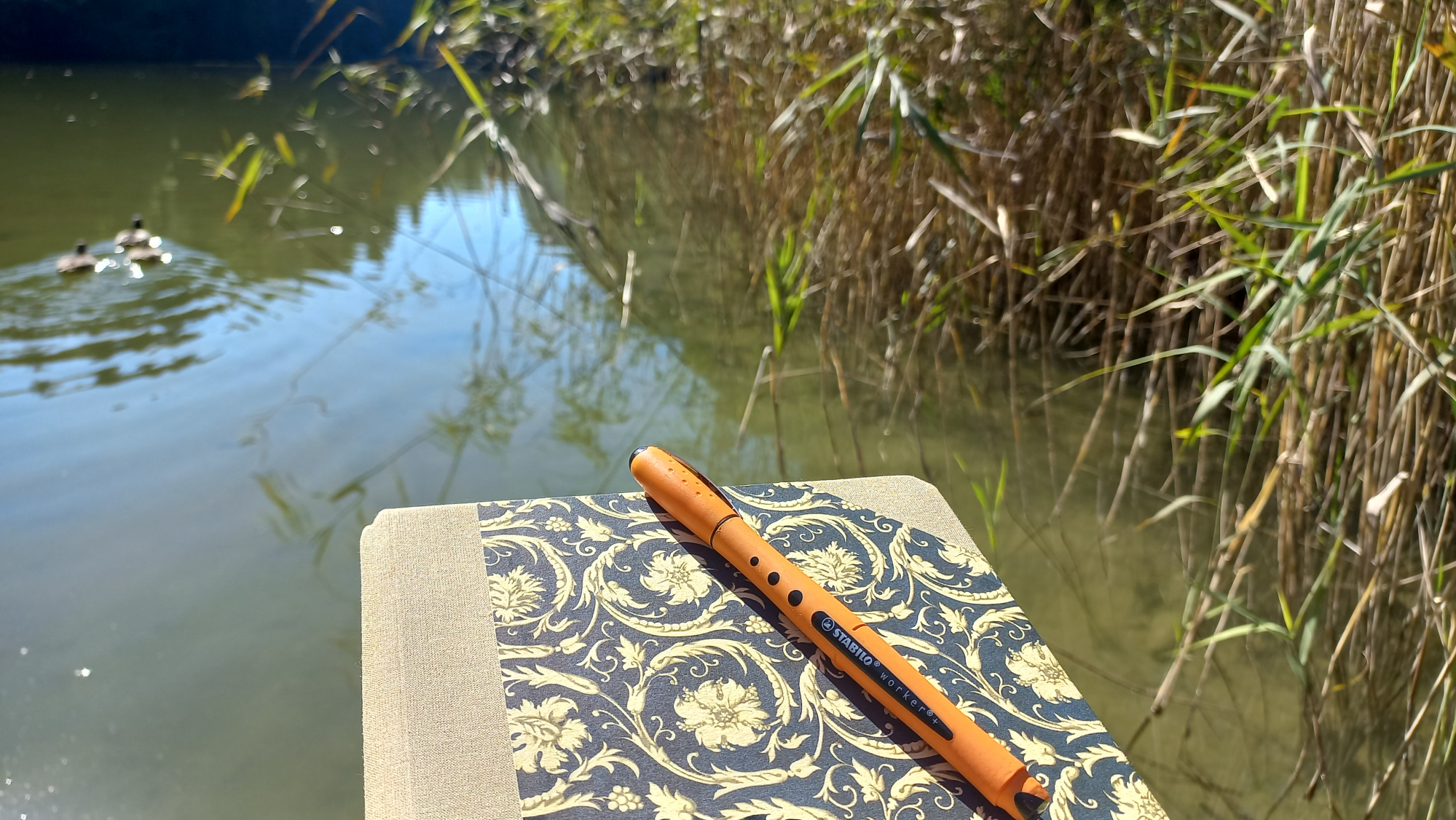 Journal und Stift am See, bereit zum Schreiben